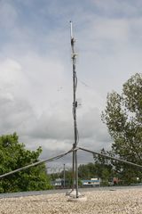 IMG 4487