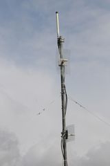 IMG 4488