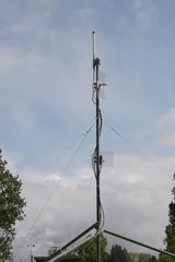 IMG 4495