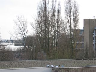 wissel survey0005