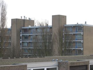 wissel survey0006