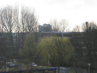 wissel survey0011
