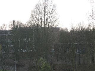 wissel survey0012