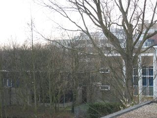 wissel survey0013