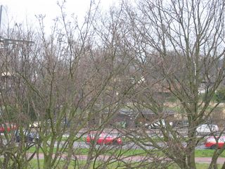 wissel survey0022