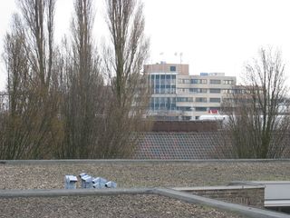 wissel survey0029