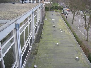 wissel survey0032
