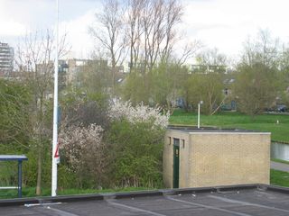 zwaluw mz0004