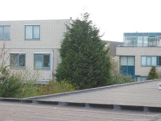 zwaluw mz0019
