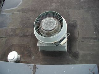P1010006