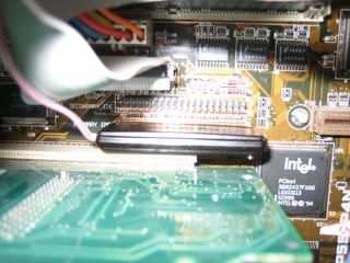 IMG 0274