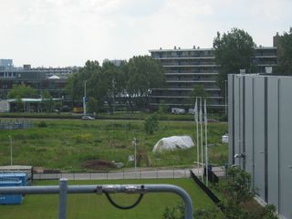 img 3095