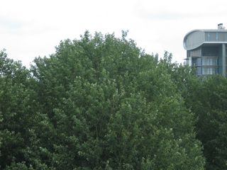 img 3102
