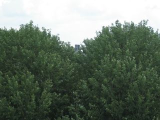 img 3105