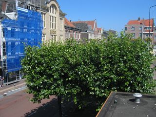 IMG 4240