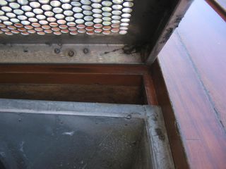 IMG 4217