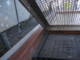 IMG 4218