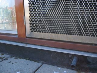 IMG 4219