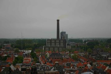 IMG 0774