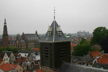 IMG 0782