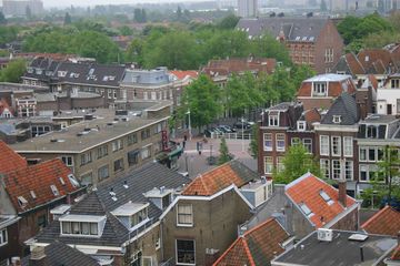 IMG 0784