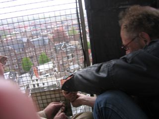 img 1361