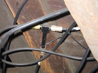 img 1363