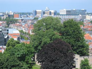 img 3220