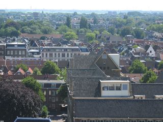 img 3234