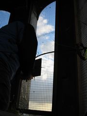 img 0048