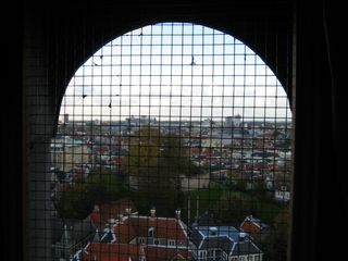 img 0056