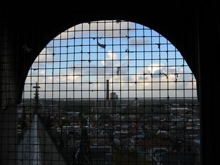 img 0057