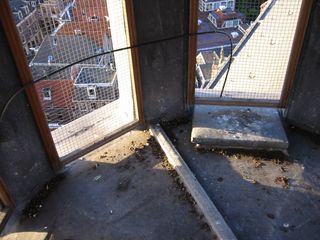 img 0063