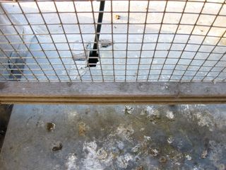 img 0071