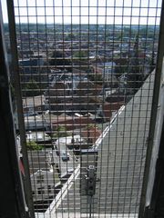 img 3204