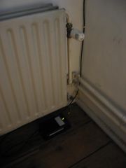 IMG 4668
