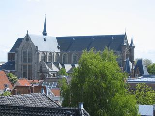 IMG 0841