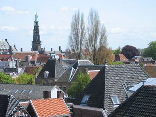 IMG 0842