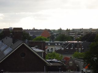 RAP8 61