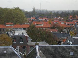 IMG 0268