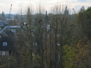 IMG 0282