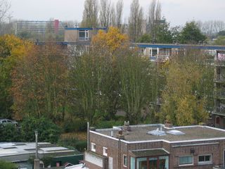 IMG 0289