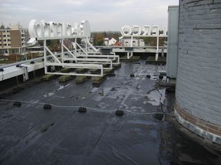 IMG 0293