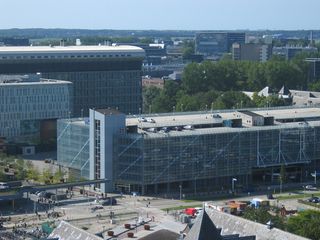 IMG 5595