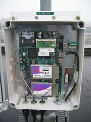 iris 67