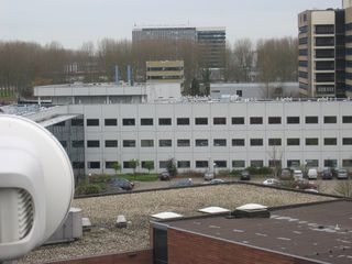 HSL 81