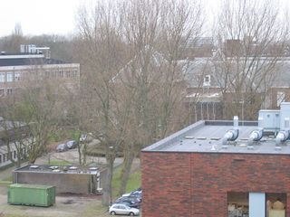 HSL 89