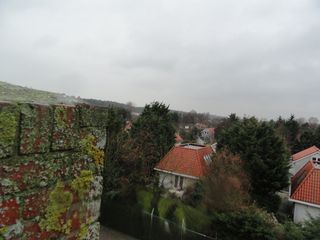 DSC00450
