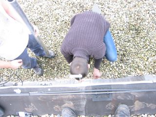 img 1463