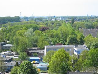 IMG 0861